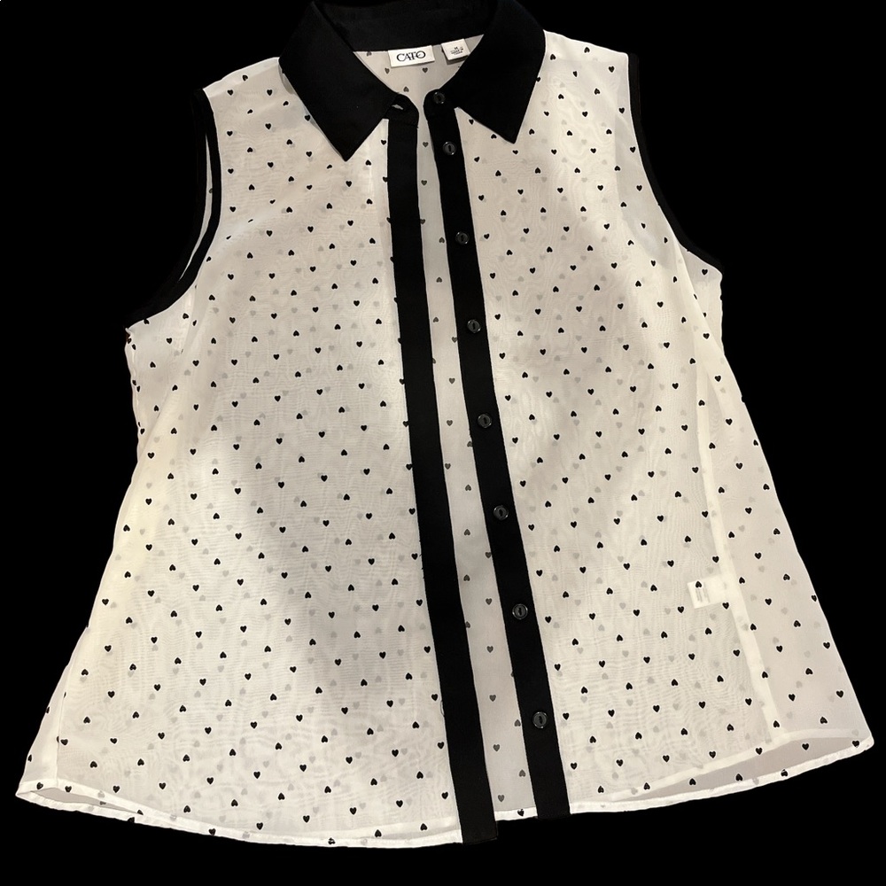 Classic Sheer Blouse by Cato